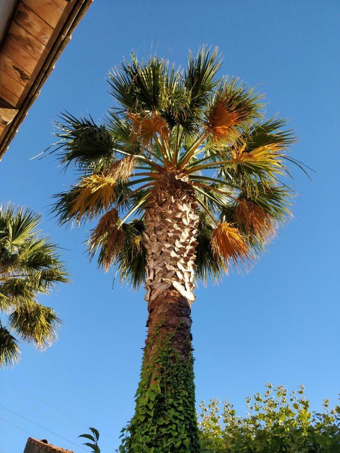 La Palmeraie Marseille Eksteriør billede